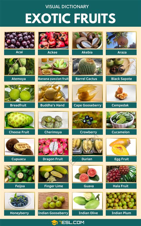 Exotic Fruits List Of 75 Exotic Fruits You’ve Probably Never Heard Of English As A Second