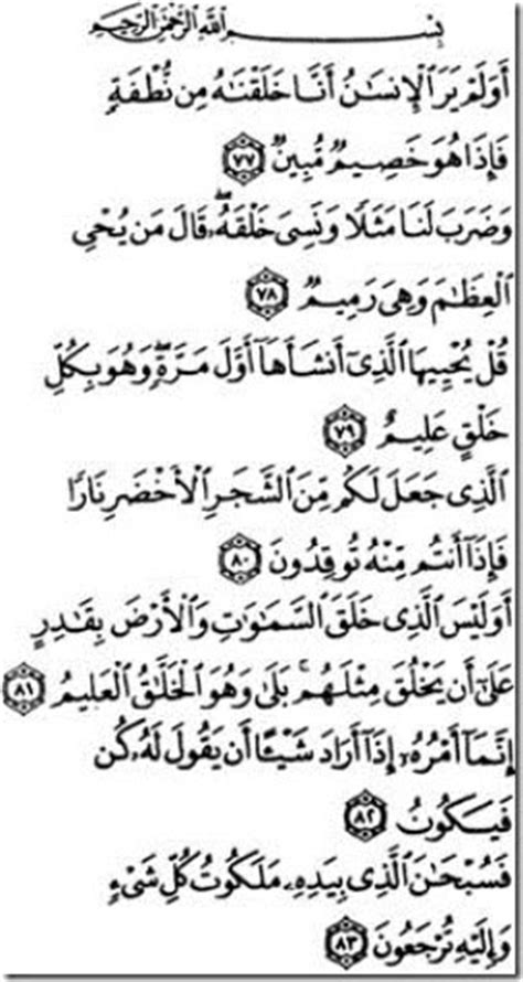 Somalicare Last Verses Of Surah Yaseen Meaning And Interetation