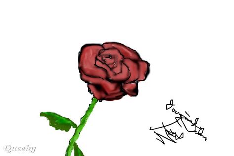 Simple Rose ← A Plants Speedpaint Drawing By Jazzy82 Queeky Draw