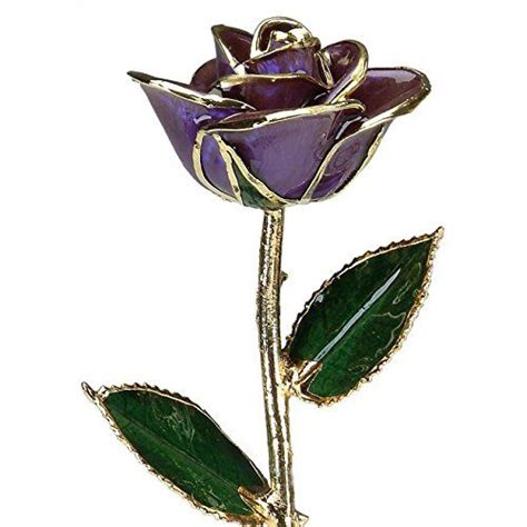 Deep Purple Laquered 24k Gold Dipped Long Stem Genuine Rose In Red T