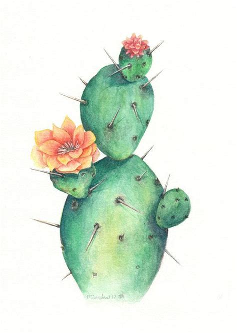 Single Cactus Watercolor Cactus Painting Watercolor Cactus Cactus