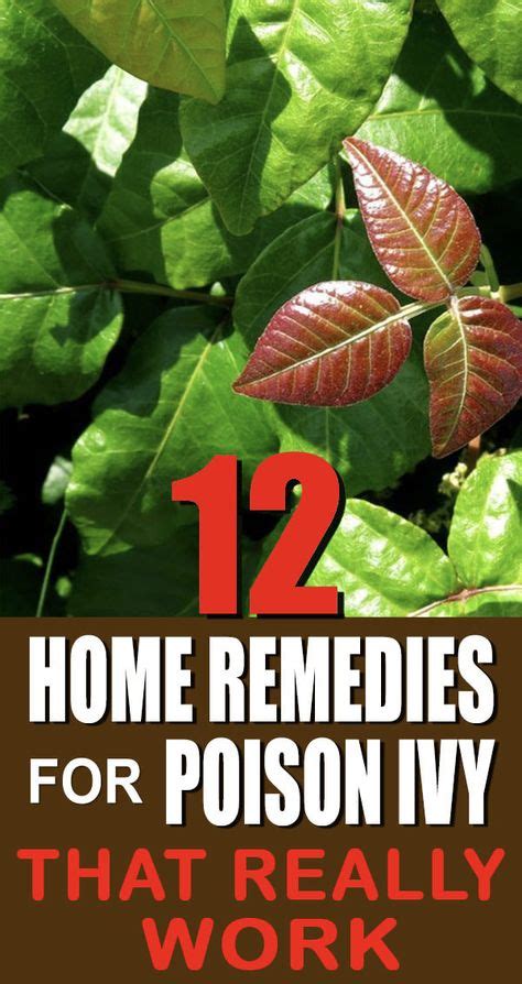 12 Home Remedies For Poison Ivy That Really Work Home Remedies