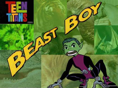 Beast Boy Wallpapers Top Free Beast Boy Backgrounds Wallpaperaccess