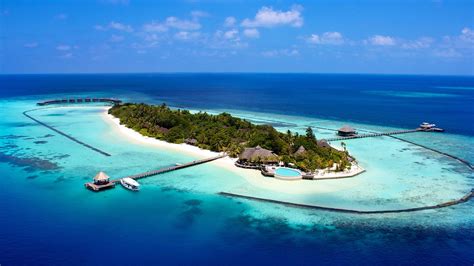 The Maldives Dive The Maldives