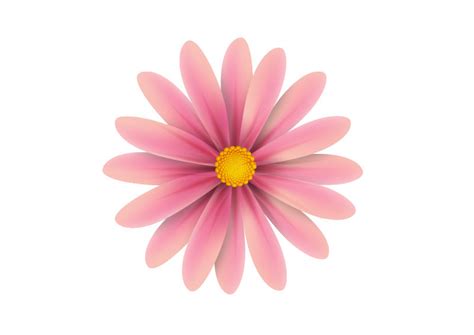 Pink Flower Vector Illustration