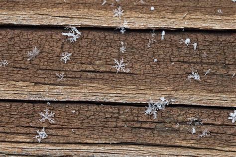 13 Perfect Snowflakes Captured In Photos