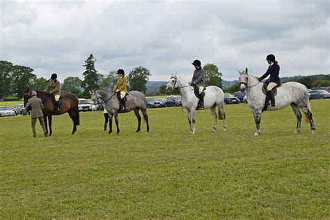 Horses 079 Alyth Agricultural Show 2019 John Mullin Flickr