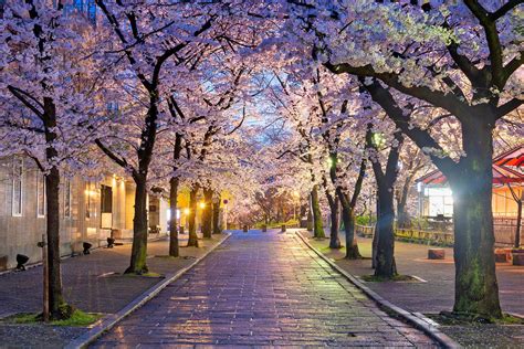 Kyoto Calendar Spring — Genji Kyoto