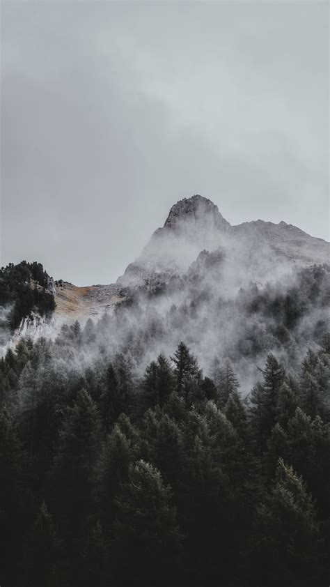 Download Wallpaper 938x1668 Mountain Trees Fog Aerial View Sky