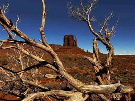 Best Off Road Driving Trails In Monument Valley Navajo Tribal Park Tse