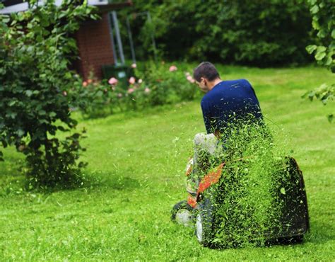 Lawn diagnosis(takes a few minutes). Here are nine common lawn-care mistakes to avoid - The ...