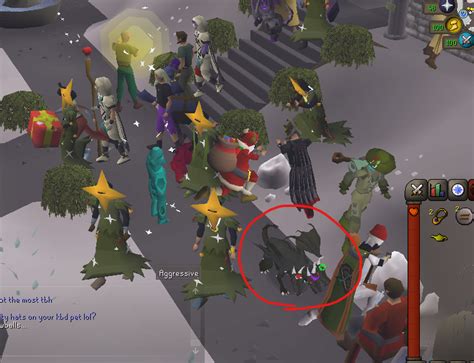 Spotted A Kbd Pet Wearing Two Party Hats And A Santa Hat R2007scape