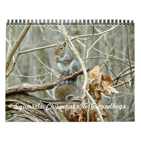 Calendar Squirrels Chipmunks Groundhogs Zazzle Chipmunks