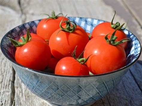 Tomato Matina Seeds Certified Organic Garden Hoard Certified