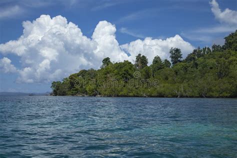 Tropical Island And Jungle In The Raja Ampat West Papua Indonesia