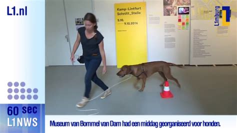 We sturen alleen meldingen als nieuws echt belangrijk is. L1 nieuws in 60 seconden - 15 jul 2017 - YouTube