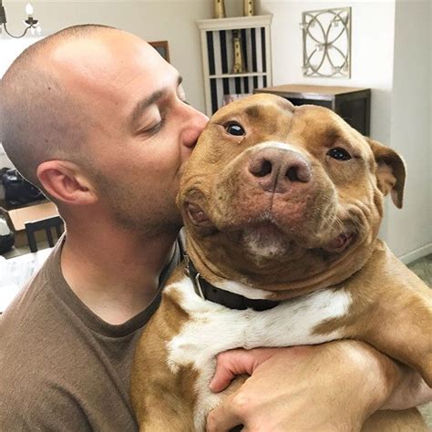 Meet Meaty The Dog Who Cant Stop Smiling After Being Rescued From A