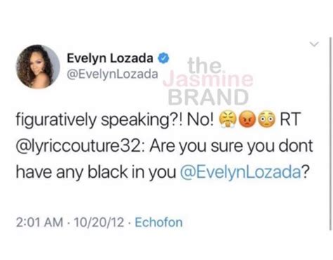 Evelyn Lozada Defends Identifying As Afro Latina As Old Tweet Resurfaces Thejasminebrand