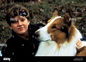 Lassie Lassie Year: 1994 USA Tom Guiry Director: Daniel Petrie Stock ...