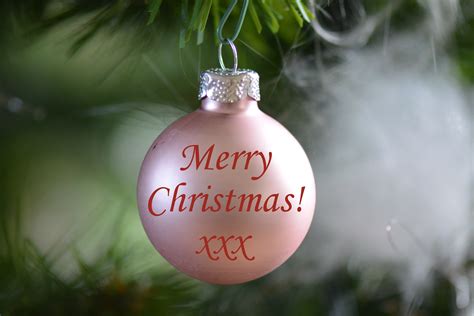 free images flower green christmas decoration christmas bauble merry christmas public