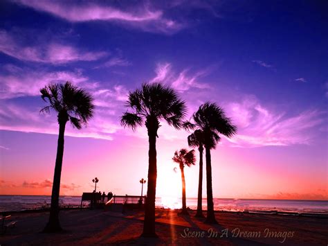 Pine Island Beach Fl Sunset Nothing Beats A Sunset In Florida Pine