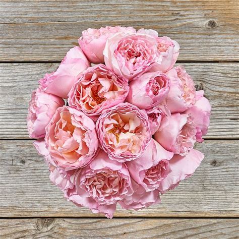 Light Pink Garden Rose Flower Arrangement The Bouqs Co