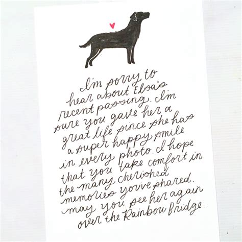 What To Write In Sympathy Card For Pet Petswall