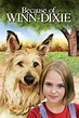 Because of Winn-Dixie (2005) - Posters — The Movie Database (TMDB)