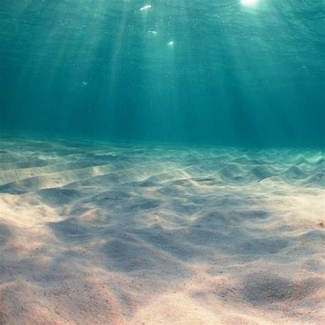 Seabed Wallpapers Top Free Seabed Backgrounds Wallpaperaccess