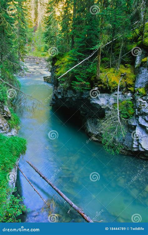 Scenic Mountain Stream Stock Image Image Of River Beautiful 18444789