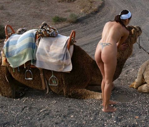 Pretty Mongolian Girl Posing With Camel Asian Sexiest Girls