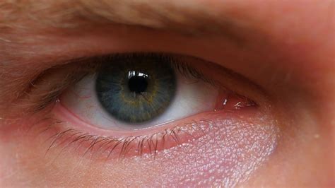 Close Up Of A Males Eye Stock Footagemalecloseeyefootage Male