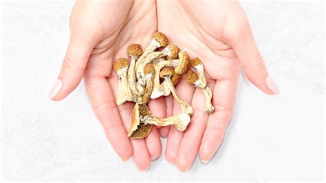 Magic Mushrooms — A Tool To Help Treat Psychiatric Conditions Bud Lab