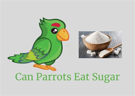 Can Birds Eat Sugar