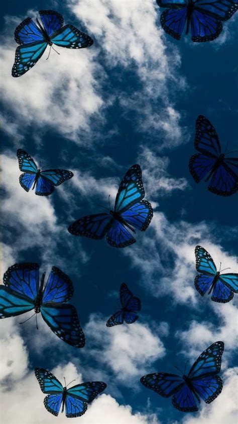 A Group Of Blue Butterflies Flying In The Sky With White Clouds Behind