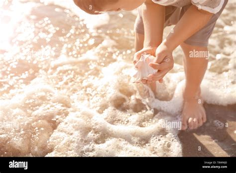 Cute Little Boy Gathering Sea Shells On Beach Stock Photo Alamy