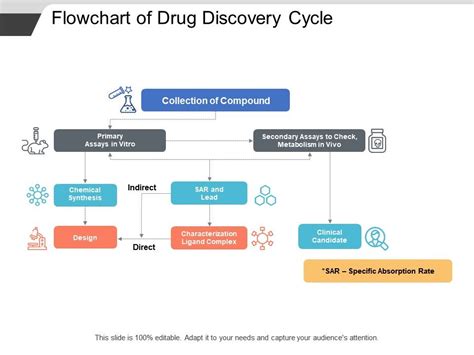 Drug Development Flow Chart