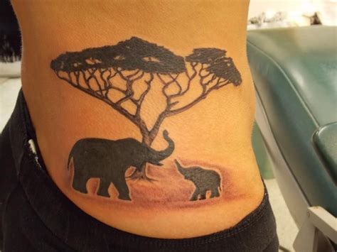 25 x false acacia tree seeds black locust (robinia pseudoacacia) seeds. elephant tattoo