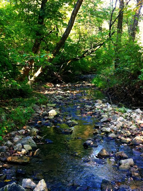 I Would Love A Creek On My Property Creek Ii Photo By Keva Bartnick