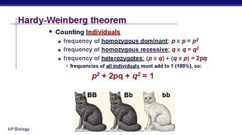 Hardyweinberg Equilibrium Crash Course Ap Biology Measuring Evolution