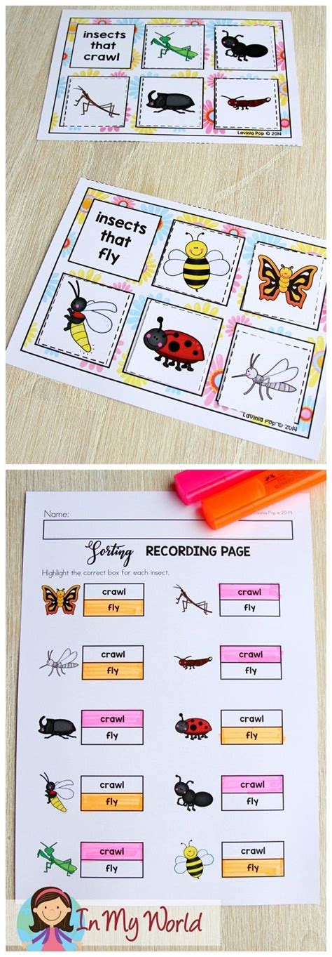 Try out the sample kindergarten number centers listed in blue under each common core state standard or download the ebook and have all the number, geometry, measurement and. Spring Math Centers for Kindergarten | Preschool science ...