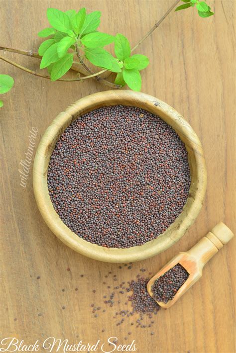 5 Top Mustard Seeds Benefits And Uses Wildturmeric