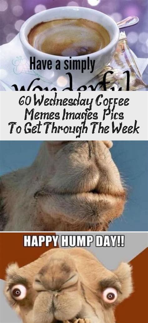√ Happy Hump Day Funny Wednesday Memes