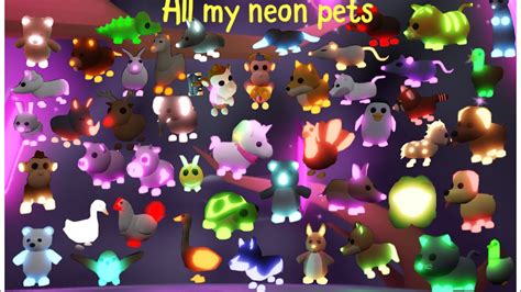 My First Neon Pet In Adopt Me Roblox Youtube F36