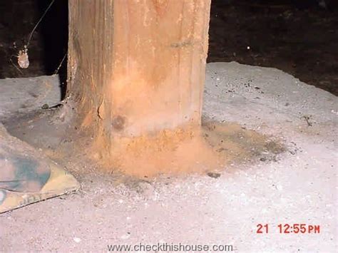 Termites And Other Crawlspace Bugs Checkthishouse