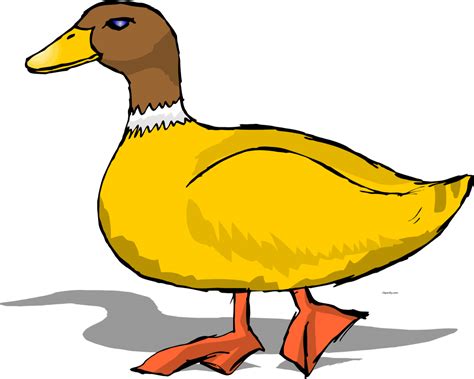 Duck Clipart Png Download Full Size Clipart 5646435 Pinclipart