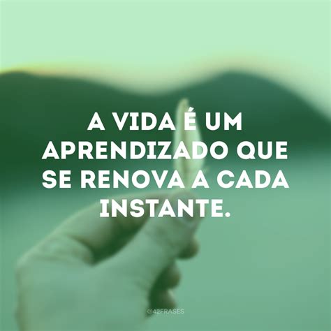 55 Frases De Aprendizado Para Você Refletir E Melhorar A Cada Dia