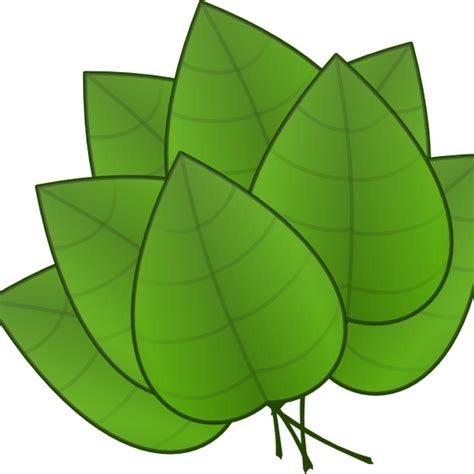 Free Jungle Clipart Download 10 Free Cliparts Download Images On