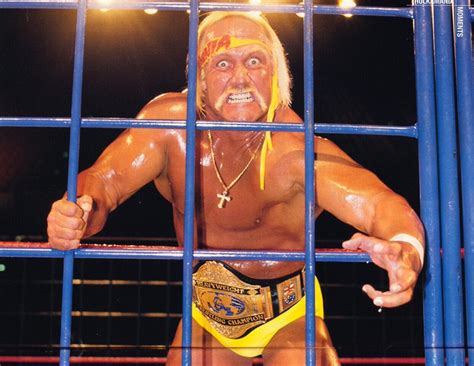 Hulk Hogan Jail Racist Blacksportsonline