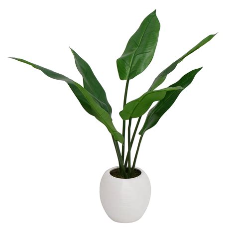 Yatai's banana plant stays forever green and is an explosion of green. 10 Must-Have Home Décor Pieces From Target - FabFitFun